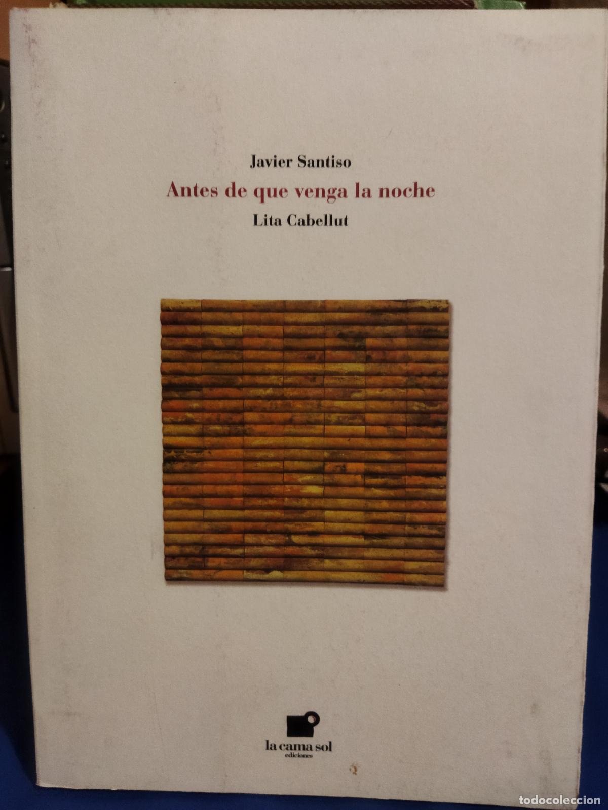 Libros de segunda mano: Antes que venga la noche Lita Cabellut