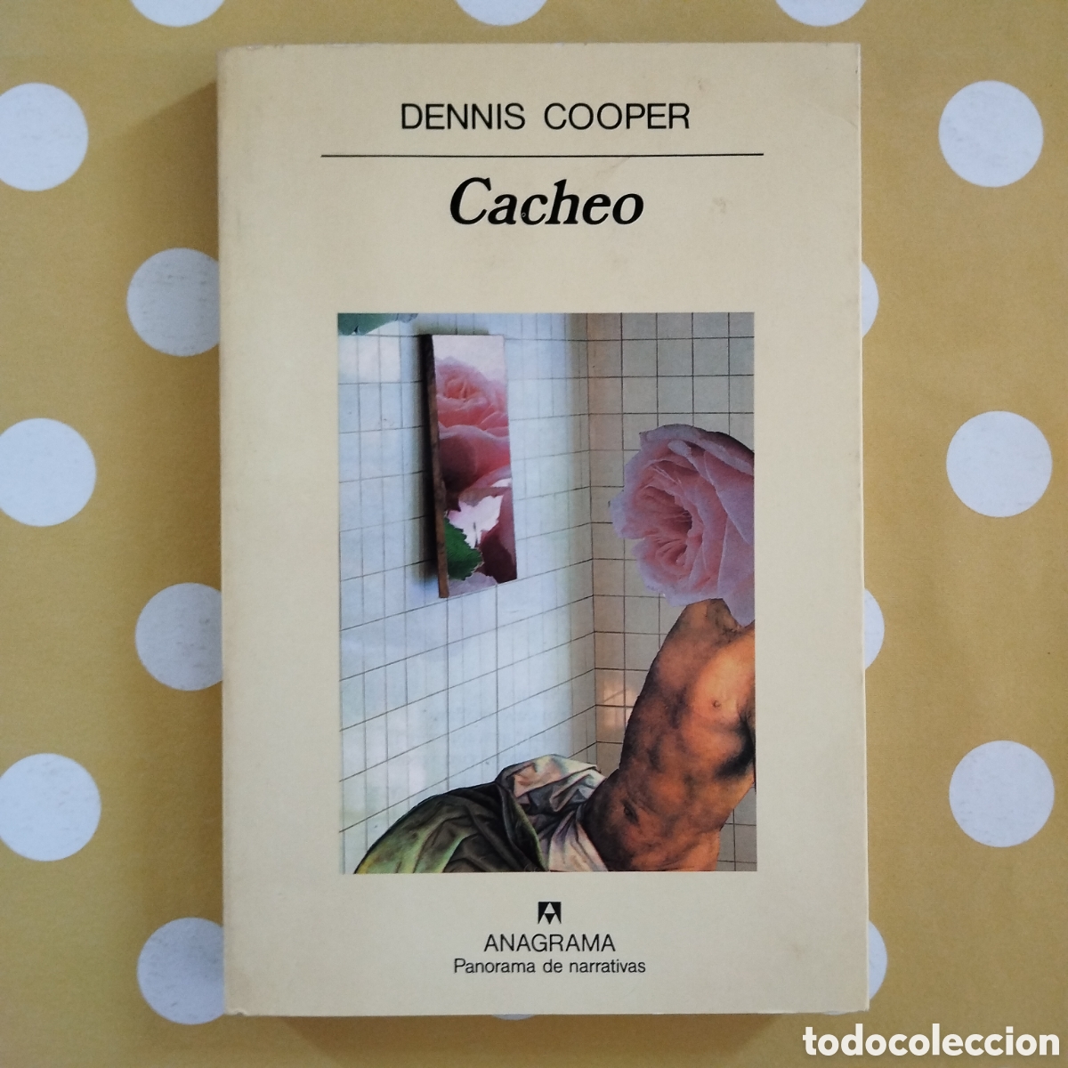 Libros de segunda mano: DENNIS COOPER CACHEO ANAGRAMA PANORAMA DE NARRATIVAS 1995 PRIMERA EDICI&Oacute;N