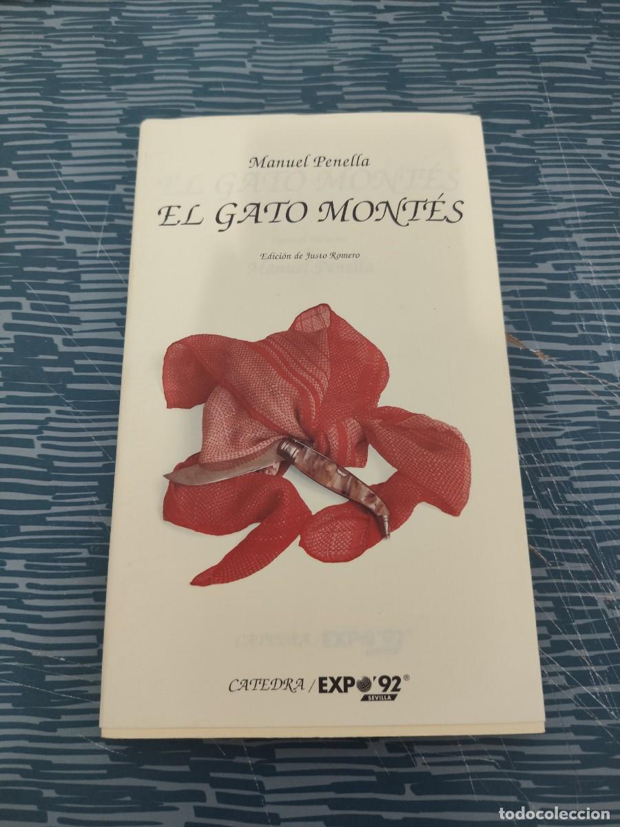 Libros de segunda mano: EL GATO MONTES, MANUEL PENELLA, C&Aacute;TEDRA EDITORIAL ,1992,137 P&Aacute;GINAS.