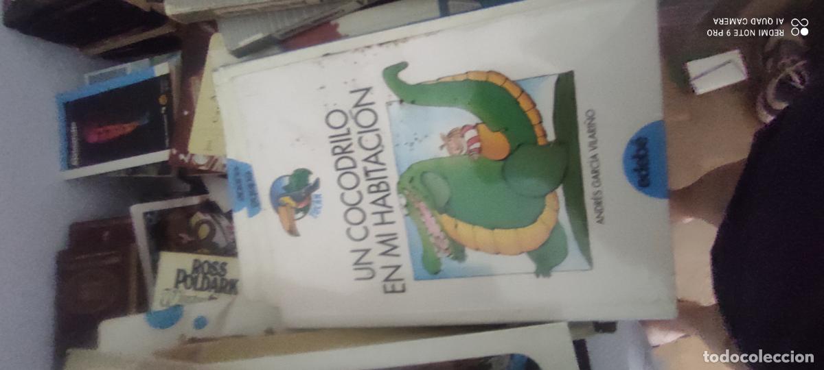 Libros de segunda mano: Un cocodrilo en mi habitacion - Garcia Vilarino, Andres