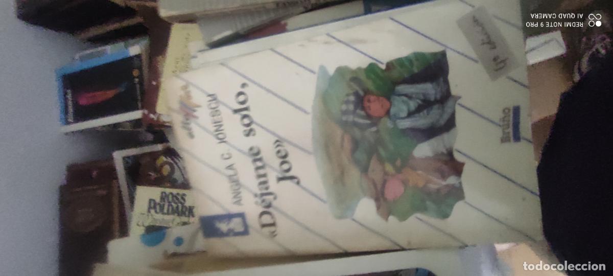 Libros de segunda mano: D&Eacute;JAME SOLO, JOE. &Aacute;NGELA C. IONESCUL EDITADO POR BRU&Ntilde;O l