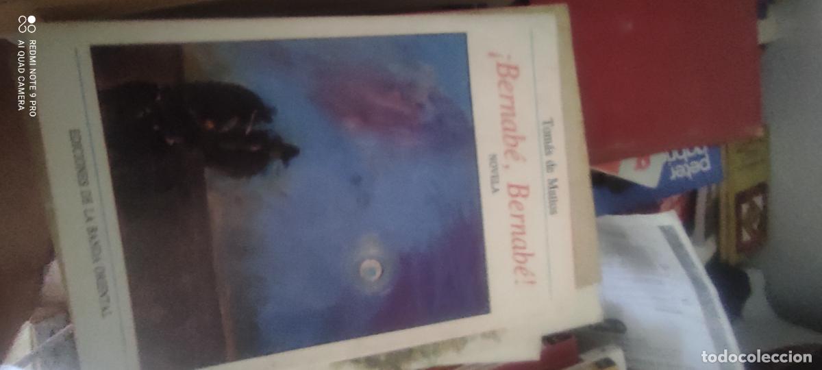 Libros de segunda mano: &iexcl;Bernab&eacute;, Bernab&eacute;! de Tom&aacute;s de Mattos