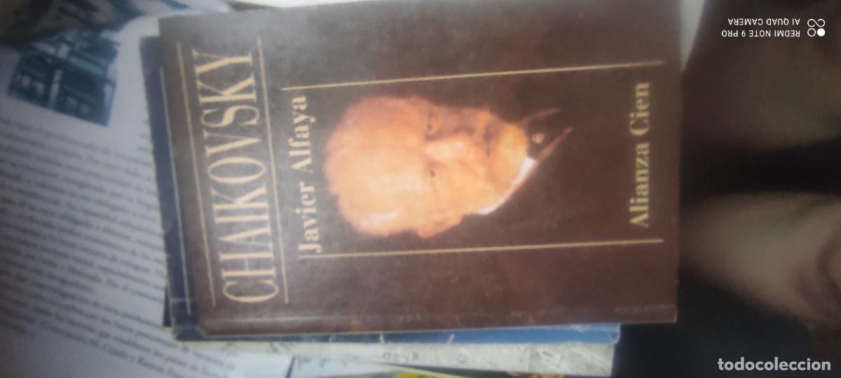 Libros de segunda mano: Alfaya. Tchaikovsky. Alianza 100.