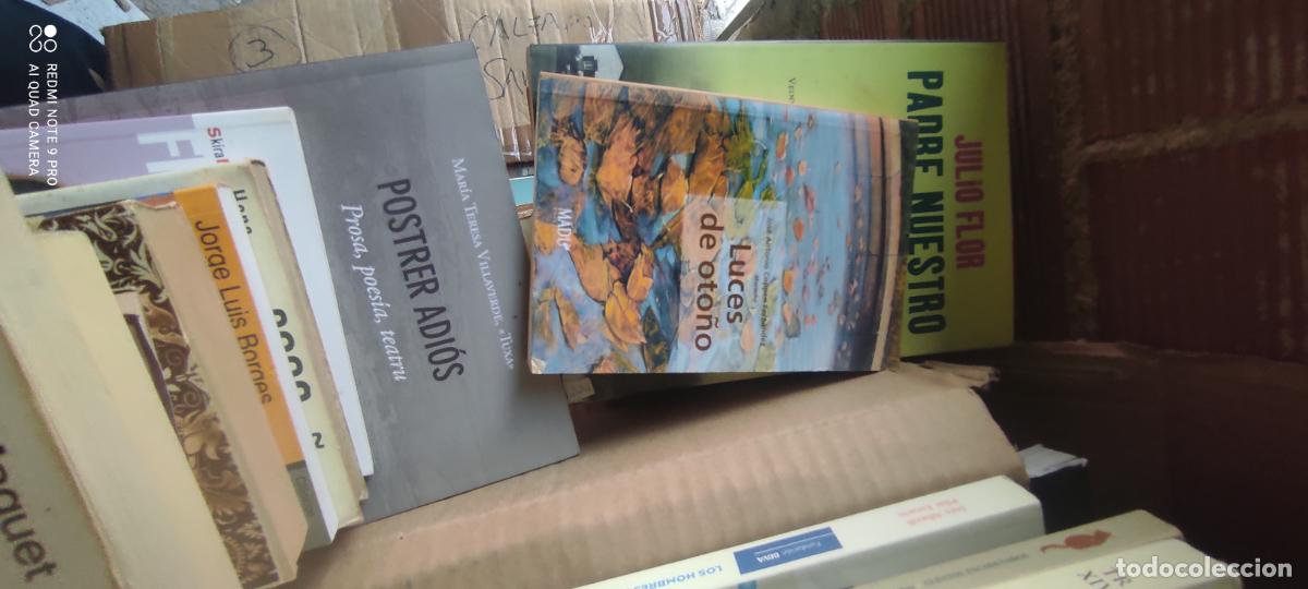 Libros de segunda mano: Luces de oto&ntilde;o. Jos&eacute; Antonio