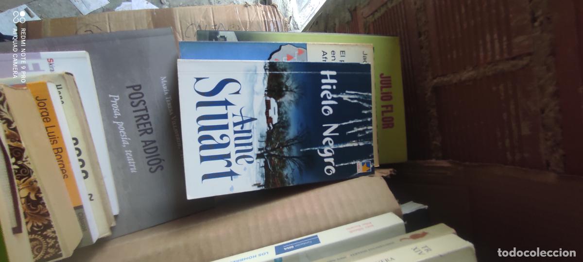 Libros de segunda mano: HIELO NEGRO - STUART, Anne