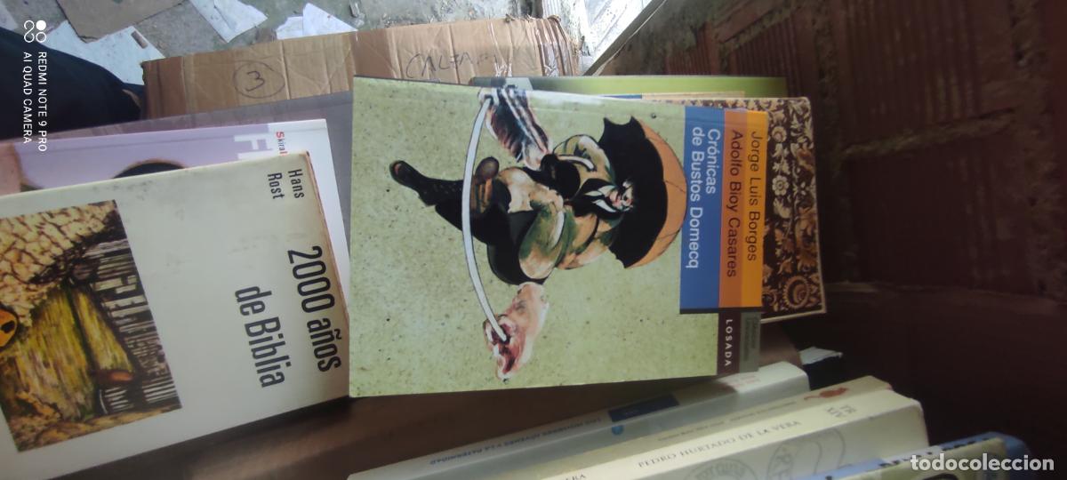 Libros de segunda mano: CRONICAS DE BUSTOS DOMECQ, JORGE LUIS BORGES, ADOLFO BIOY CASARES