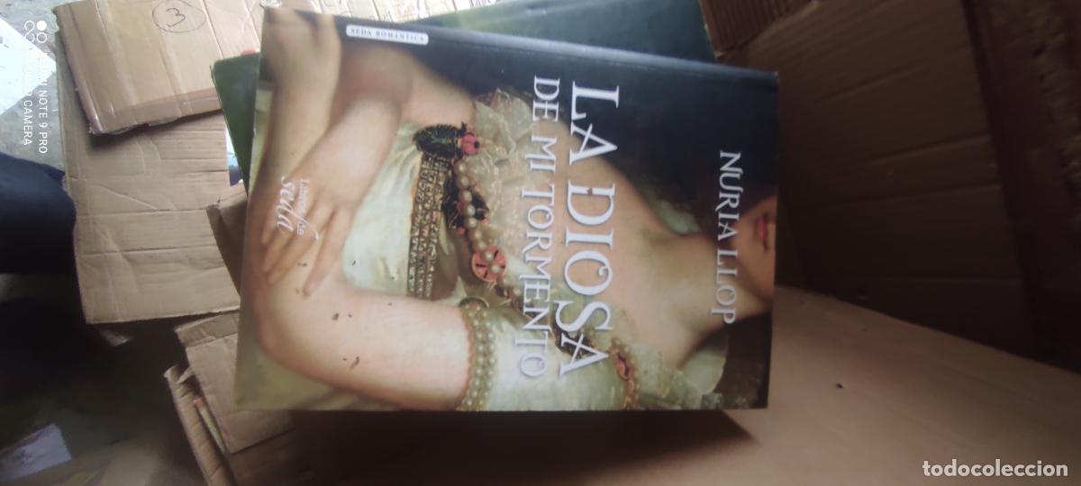 Livros em segunda m&atilde;o: La diosa de mi tormento.- Llop, Nuria