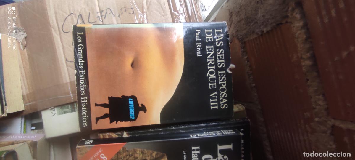 Libros de segunda mano: Las seis esposas de Enrique VIII - Rival, Paul