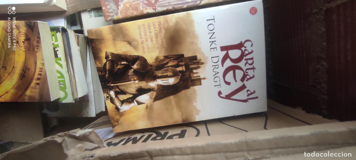 Libros de segunda mano: Carta al rey - Dragt, Tonke