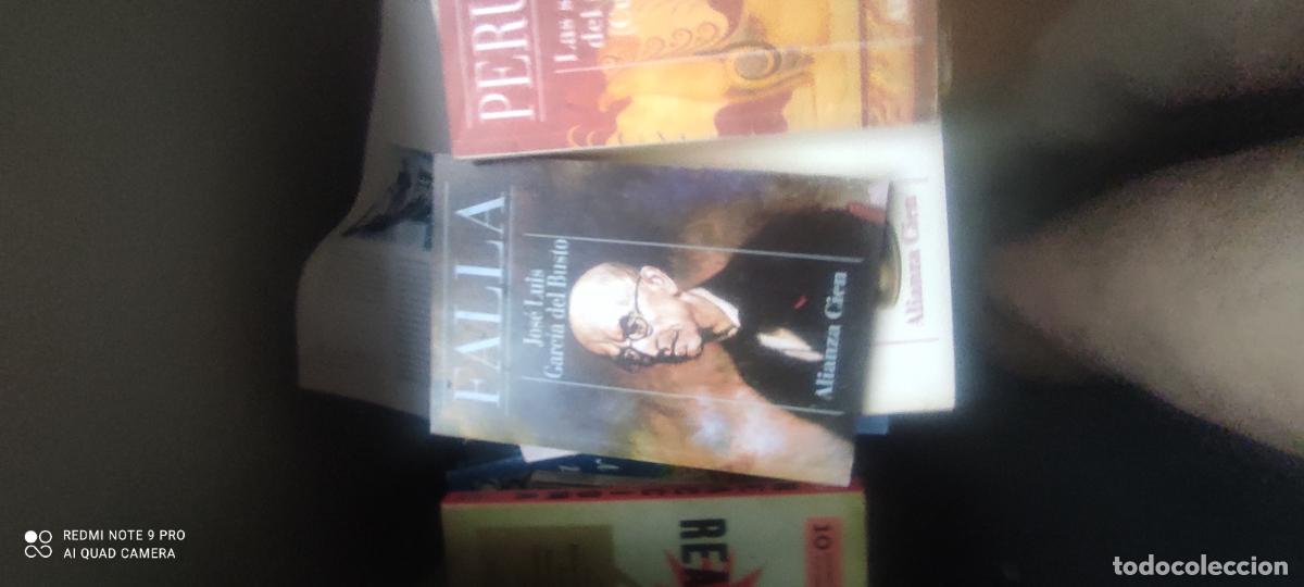 Libros de segunda mano: Falla. Alianza 100,,,,