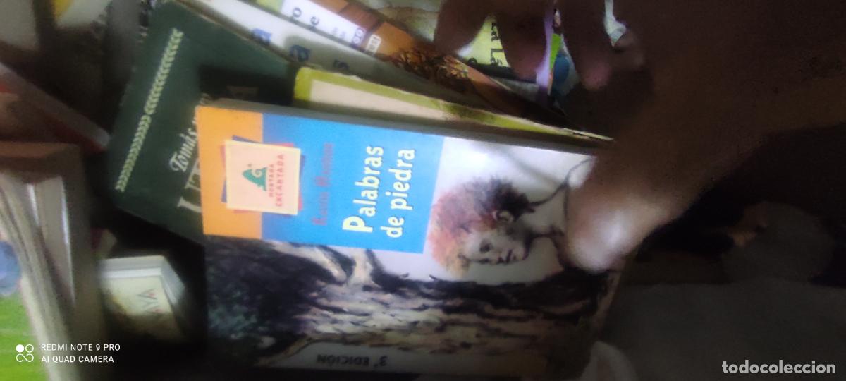Libros de segunda mano: PALABRAS DE PIEDRA - Henkes,Kevin