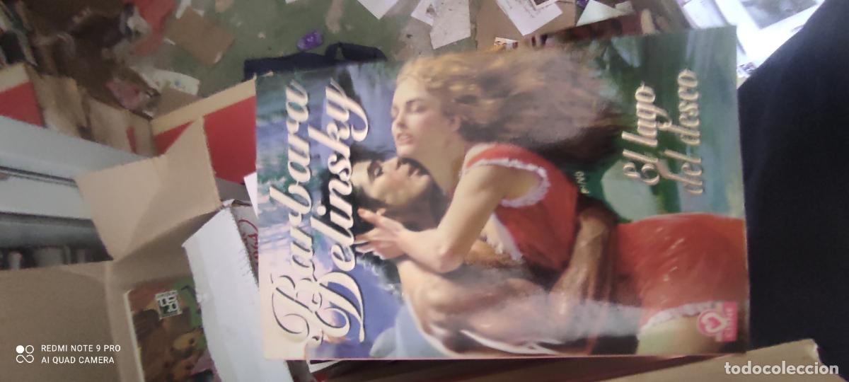 Libros de segunda mano: El lago del deseo: Delinsky, Barbara.