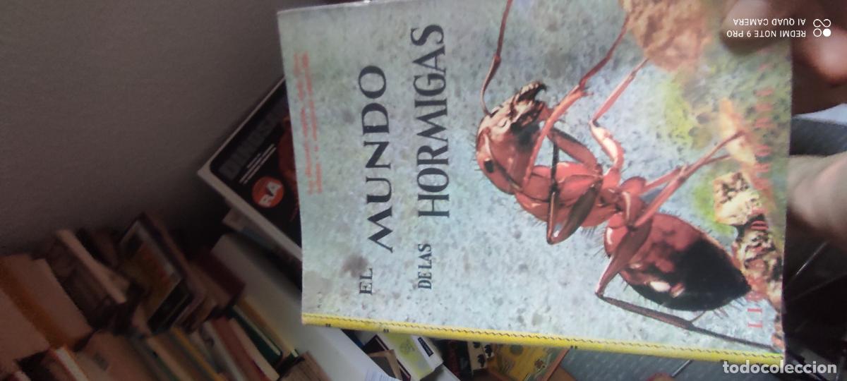 Libros de segunda mano: El mundo de las hormigas