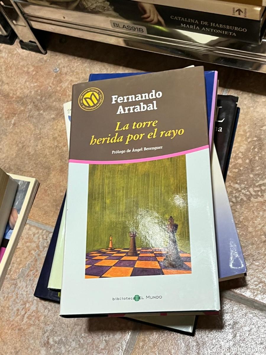 Libros de segunda mano: BLAS91B Fernando Arrabal, La torre herida por el rayo, Biblioteca El Mundo
