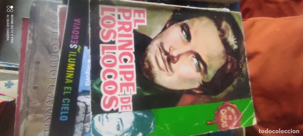 Libros de segunda mano: El principe de los locos
