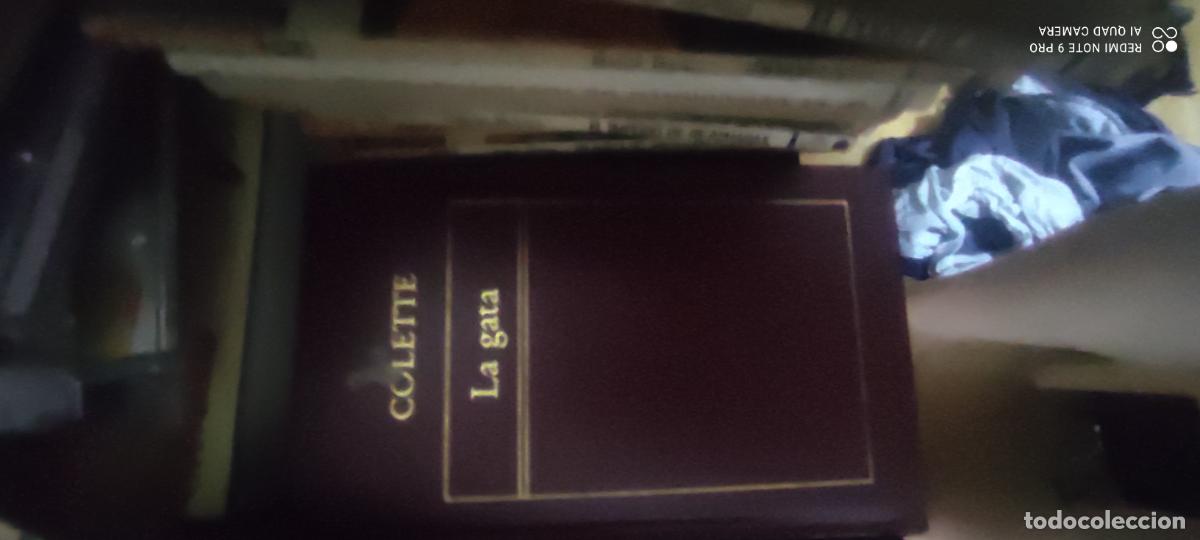 Libros de segunda mano: Colette. La gata. Orbis Literatura Universal