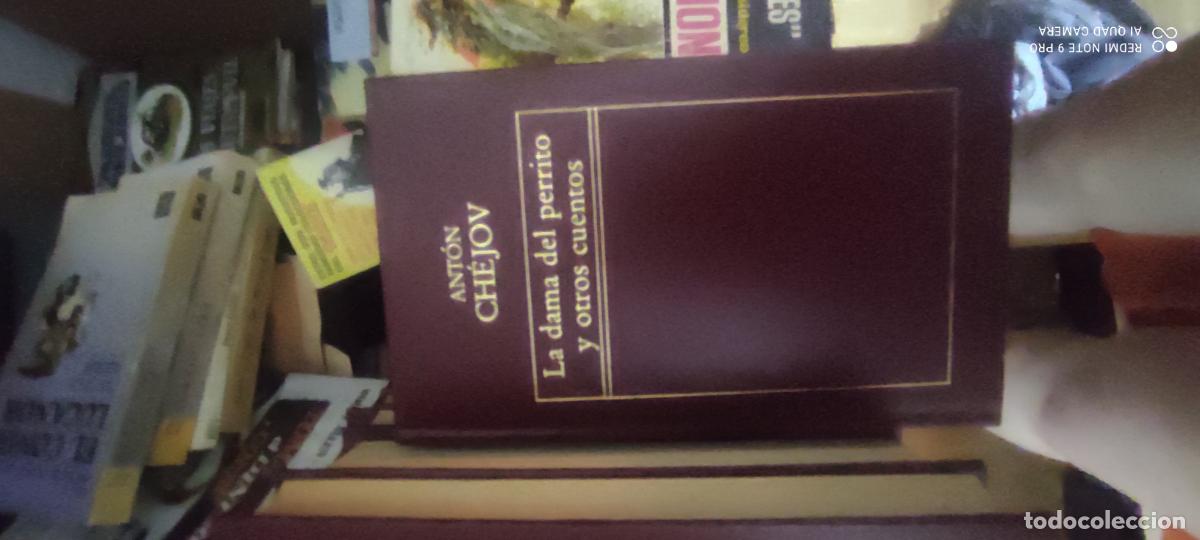 Libros de segunda mano: Chejov. La dama del perrito y otros cuentos. . Orbis Literatura Universal