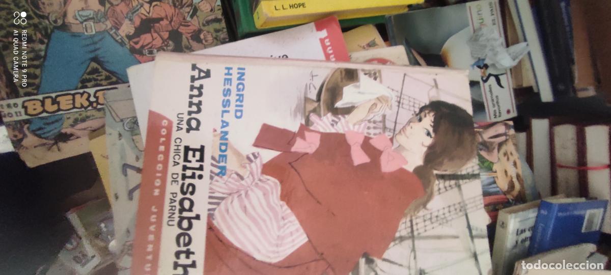 Libros de segunda mano: Anna Elisabeth, una chica de Parnu. Ingrid Hesslander. Ed. Juventud. Barcelona, 1982