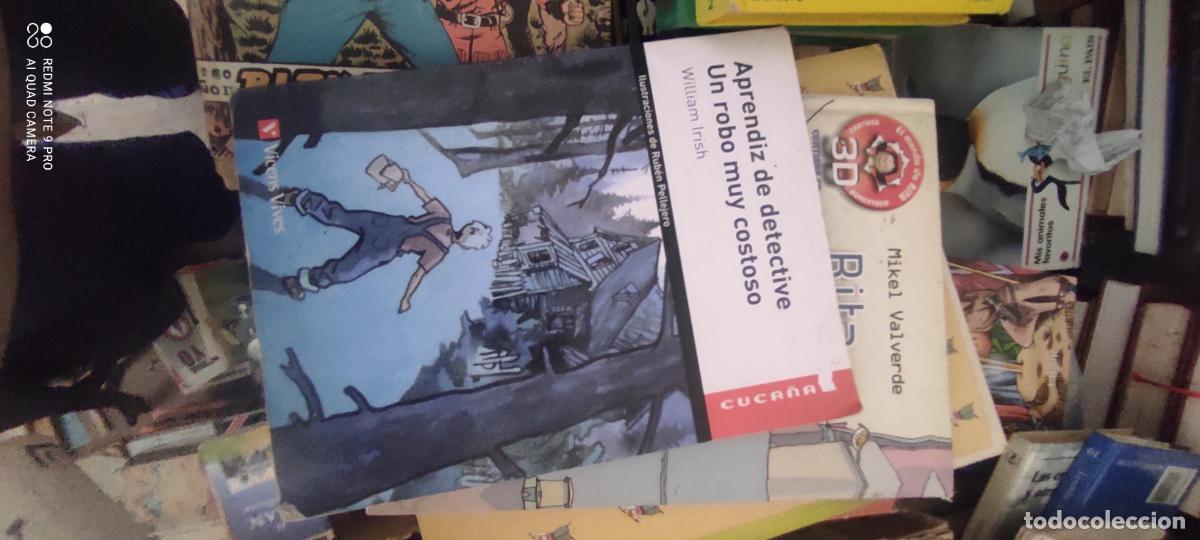 Libros de segunda mano: Aprendiz de detective un robo muy costoso. Cuca&ntilde;a Vicens Vives