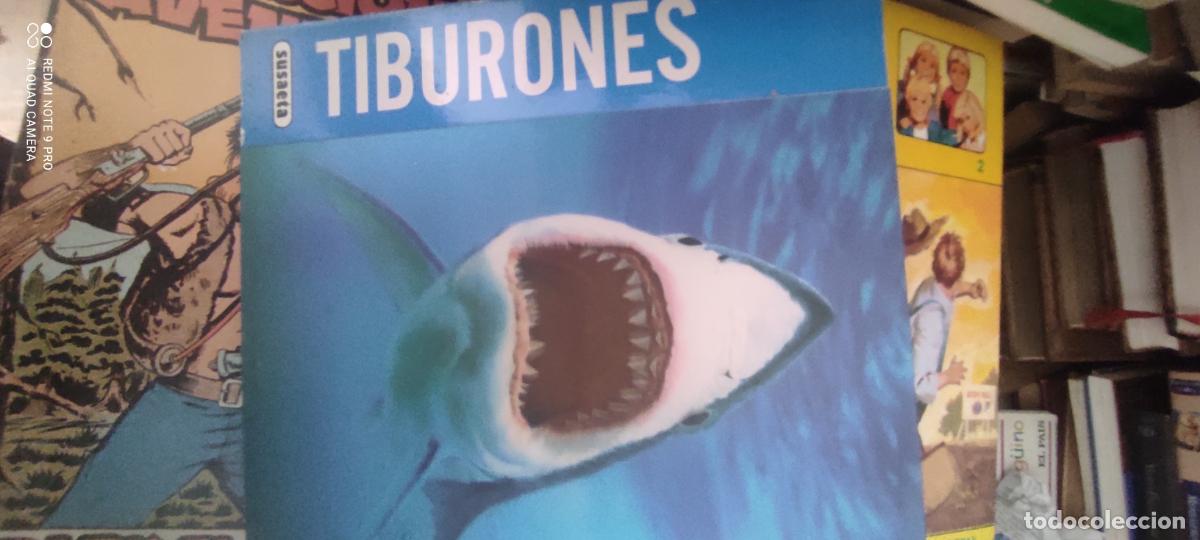 Libros de segunda mano: TIBURONES - Susaeta Ediciones
