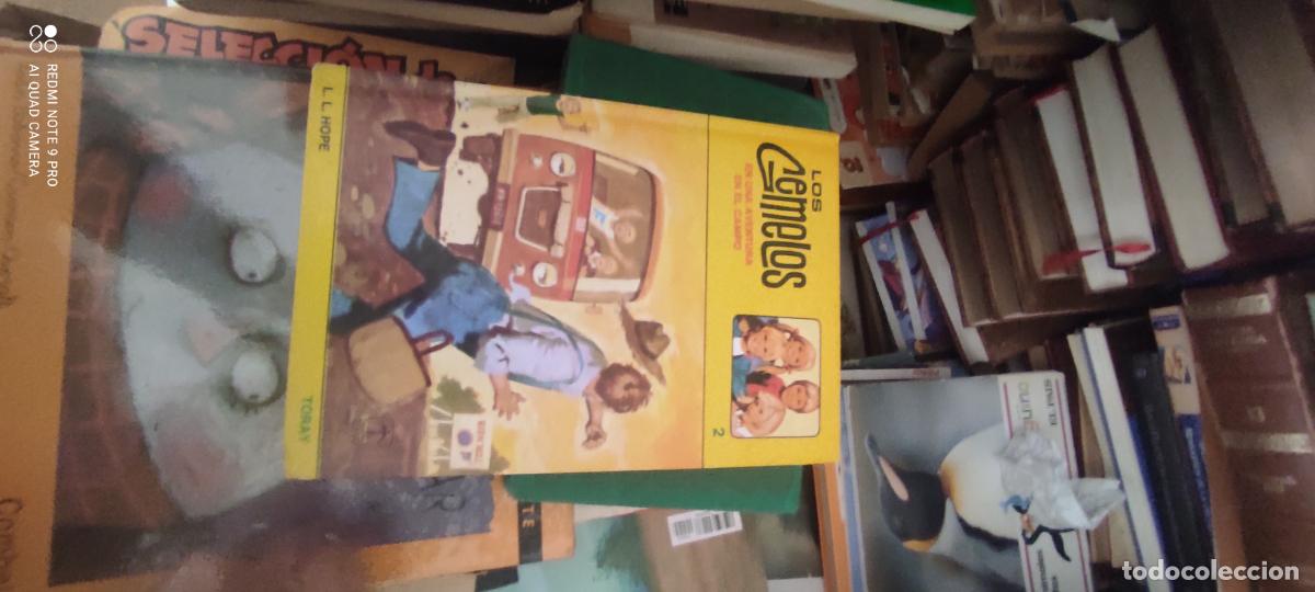 Libros de segunda mano: LOS GEMELOS EN UNA AVENTURA EN EL CAMPO L L HOPE TORAY