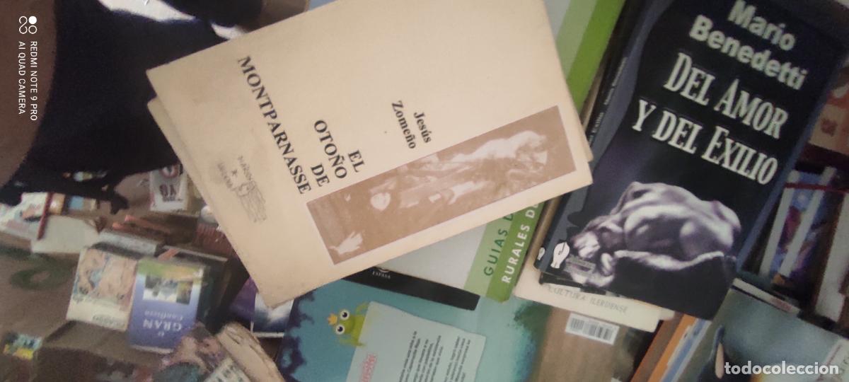 Libros de segunda mano: El oto&ntilde;o de Montparnasse, Jes&uacute;s Zome&ntilde;o