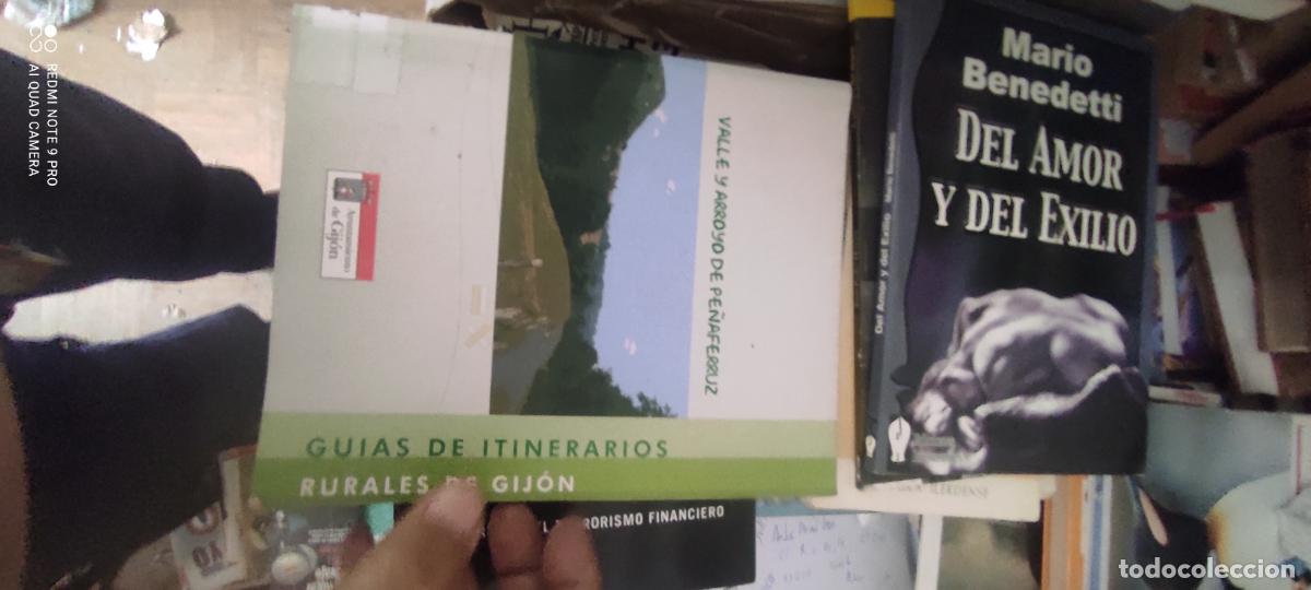 Libros de segunda mano: Valle y arroyo de Pe&ntilde;aferruz