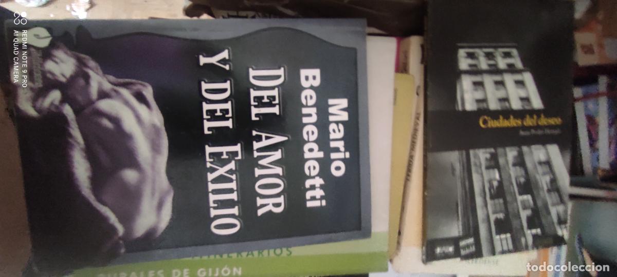 Libros de segunda mano: DEL AMOR Y DEL EXILIO. - BENEDETTI, Mario.