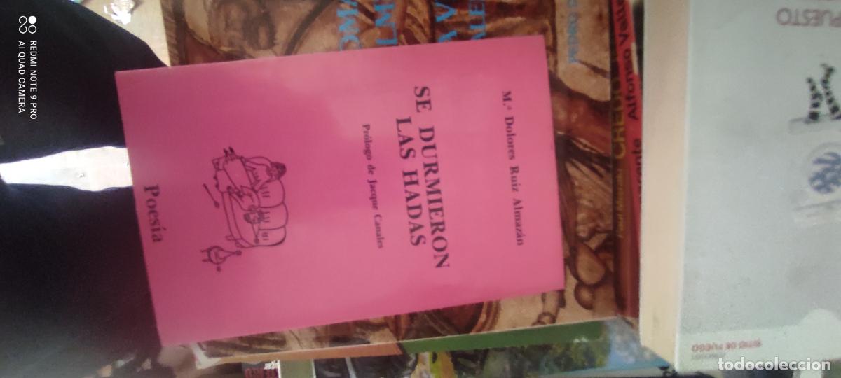 Libros de segunda mano: SE DURMIERON LAS HADAS. M&ordf; DOLORES RUIZ ALMAZ&Aacute;N. ED. A-Z, 1989.