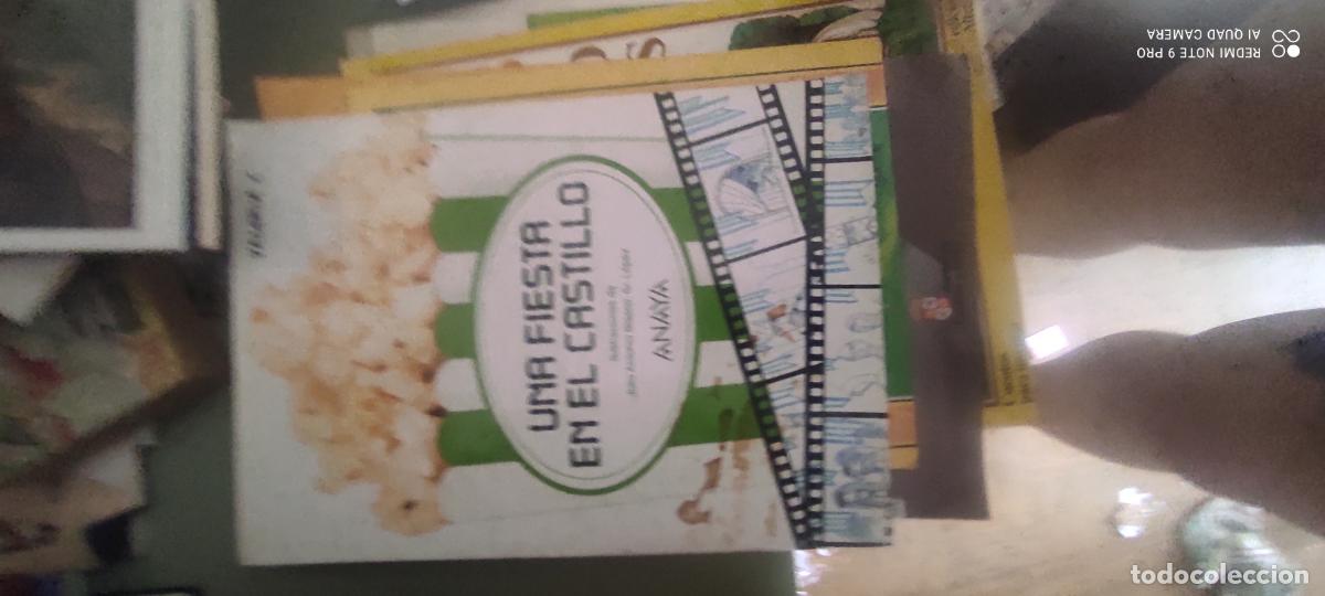Libros de segunda mano: Una fiesta en el castillo. Anaya
