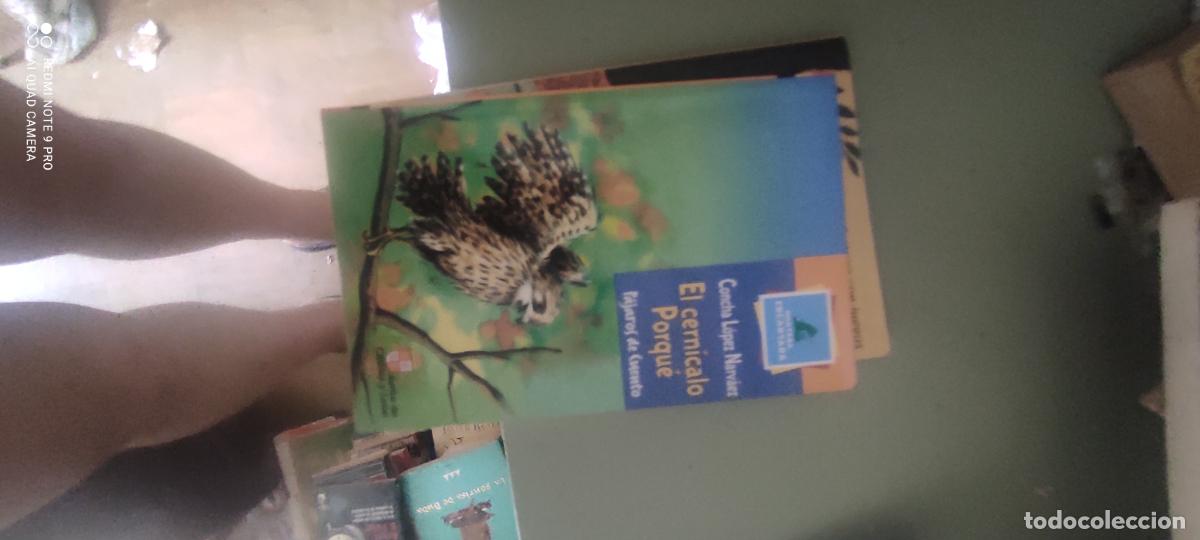 Libros de segunda mano: EL CERN&Iacute;CALO PORQU&Eacute; - L&Oacute;PEZ NARV&Aacute;EZ CONCHA