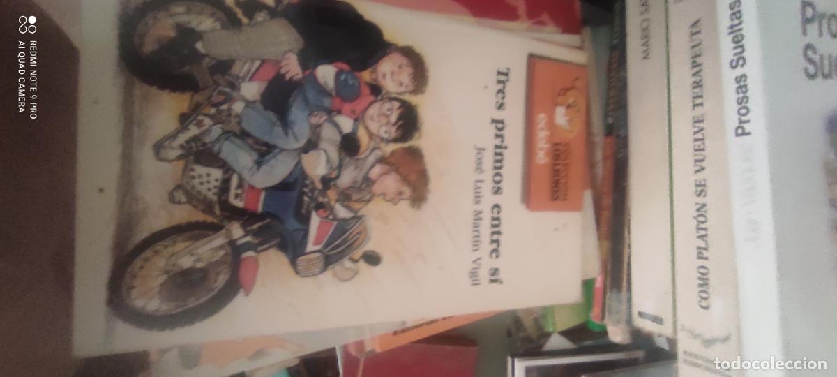 Libros de segunda mano: TRES PRIMOS ENTRE S&Iacute;. JOS&Eacute; LUIS MART&Iacute;N. COLECCI&Oacute;N LOS LEONES. EDEB&Eacute;. BARCELONA, 1991.