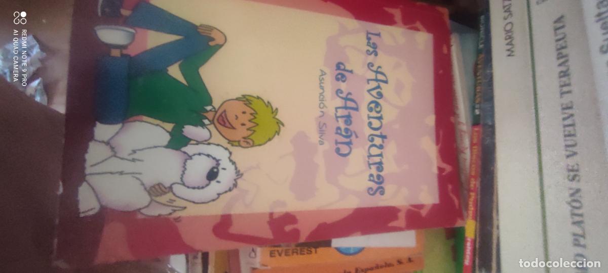 Libros de segunda mano: LAS AVENTURAS DE ARAN - ASUNCION SILVA - 2006
