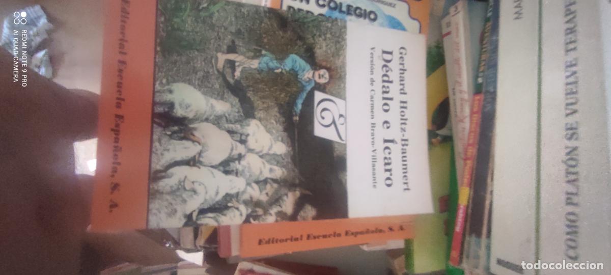 Libros de segunda mano: D&eacute;dalo e &Iacute;caro. Gerhard Holtz-Baumert