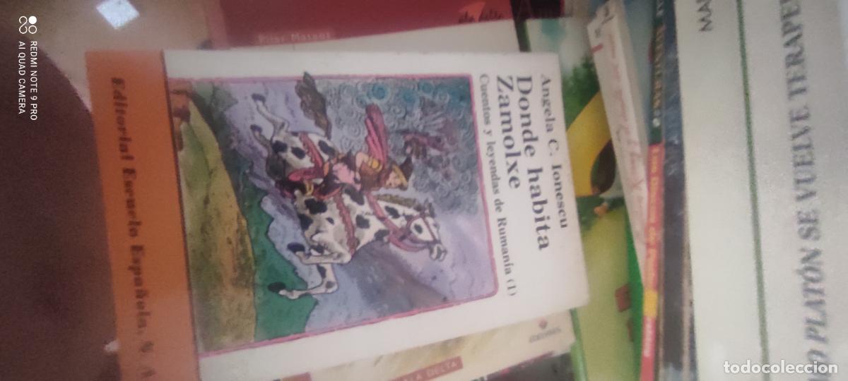 Libros de segunda mano: DONDE HABITA ZAMOLXE Angela C. Ionescu Doncel 1973 l
