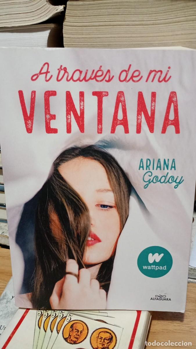 Libros de segunda mano: Atraves de mi ventana