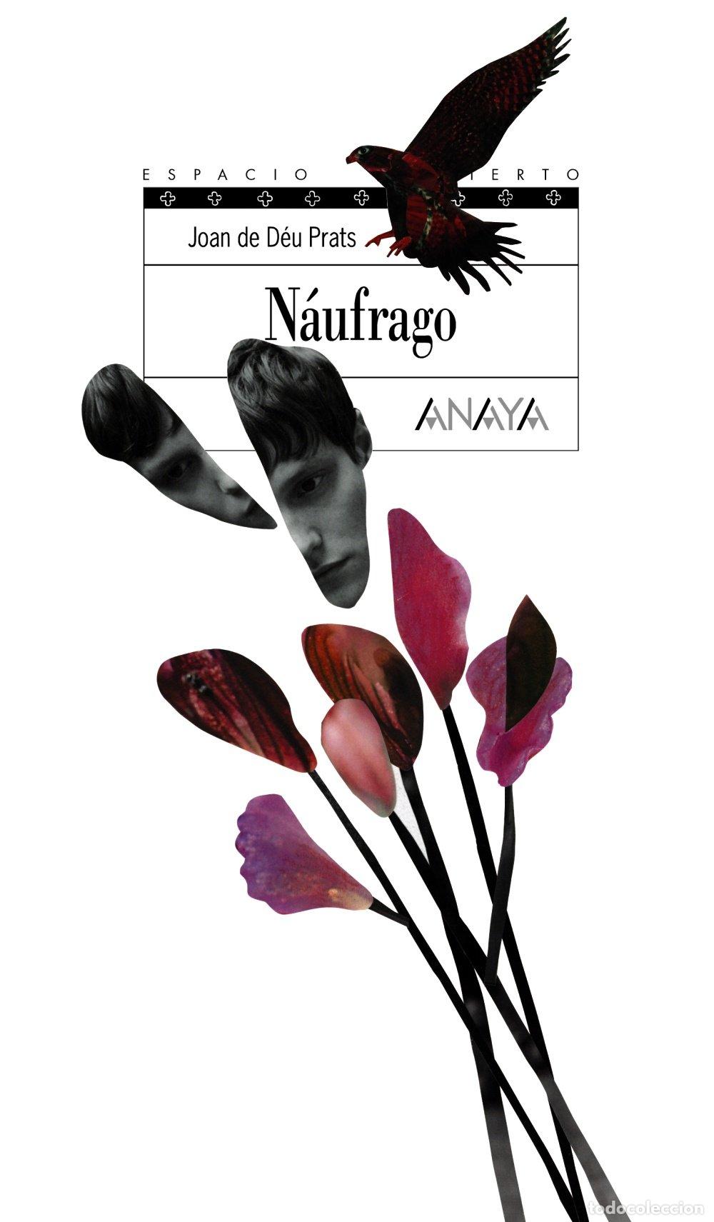 Libros de segunda mano: N&aacute;ufrago - Prats, Joan de D&eacute;u - Anaya Infantil y Juvenil - Libros para J&oacute;venes - Espacio Abierto, 14