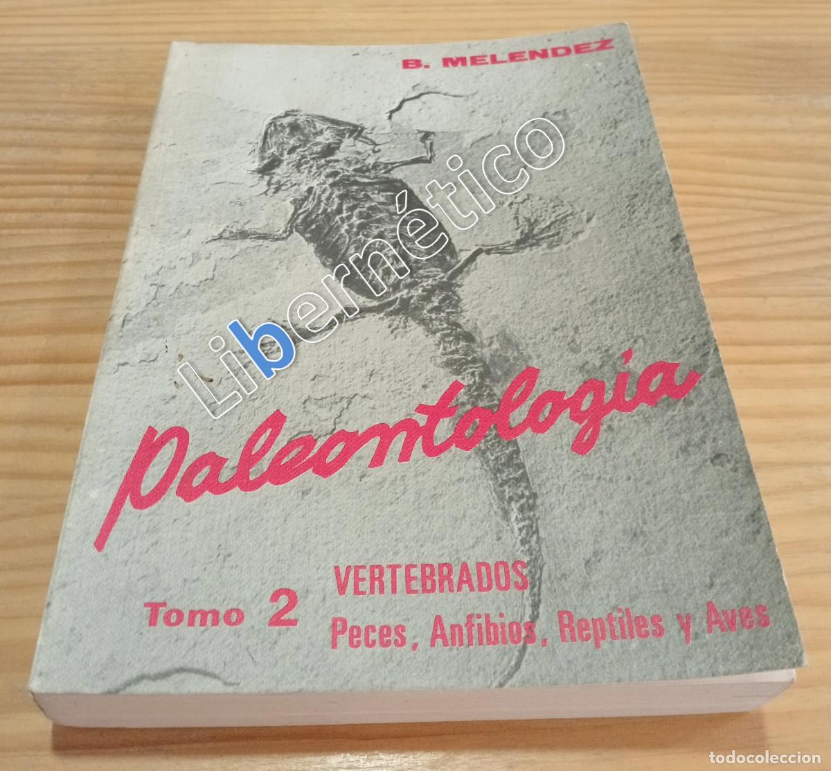 Libros de segunda mano: Paleontolog&iacute;a Tomo 2 Vertebrados. Bermudo Mel&eacute;ndez