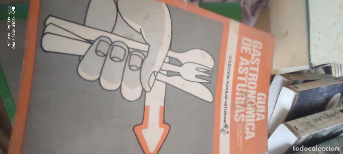 Libros de segunda mano: GUIA GASTRONOMICA DE ASTURIAS. VILABELLA, JOSE MANUEL