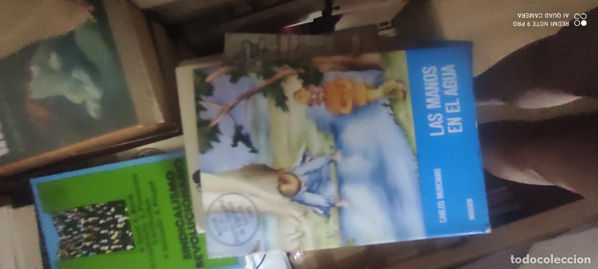 Libros de segunda mano: Las manos en el agua - Carlos Murciano (Noguer mundo magico) [premio literatura nacional 1980]