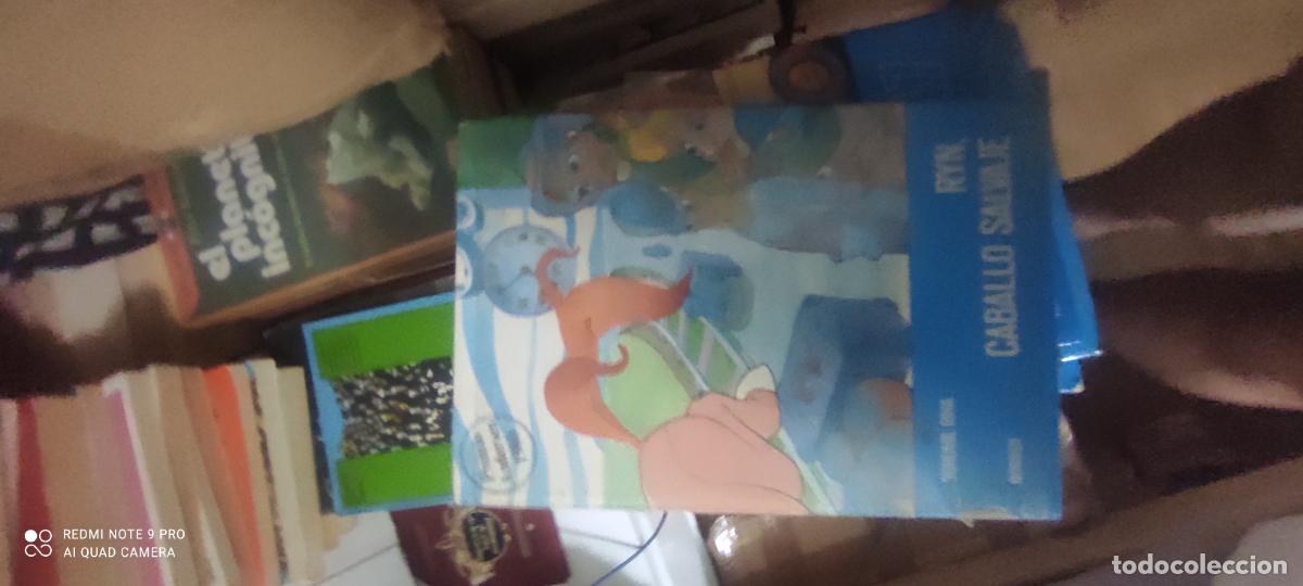Libros de segunda mano: RYN, EL CABALLO SALVAJE - BOHUMIL RIHA - NOGUER 1982