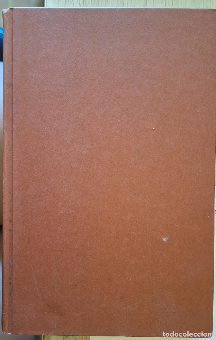 Libros de segunda mano: SEDUCTORA INOCENCIA. - FOLEY, Gaelen.