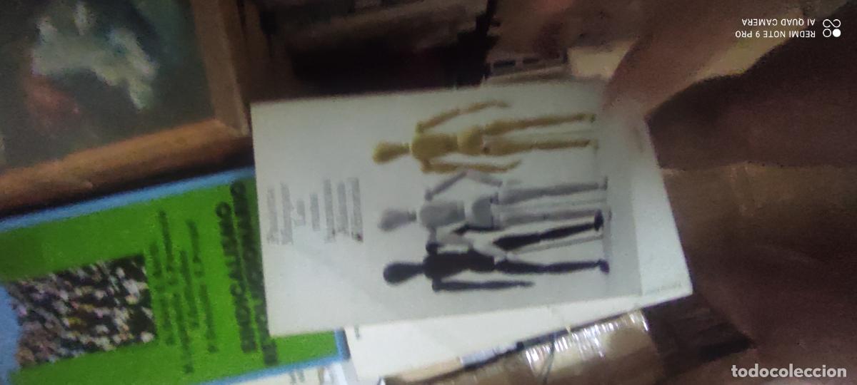 Libros de segunda mano: Las razas humanas alianza