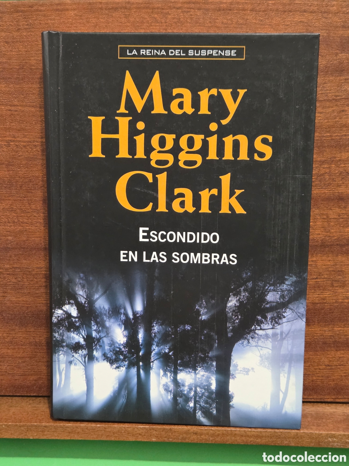 Livros em segunda m&atilde;o: MARY HIGGINS CLARK...&rdquo;&rdquo;ESCONDIDO EN LAS SOMBRAS&rdquo;&rdquo;...RBA...2006...