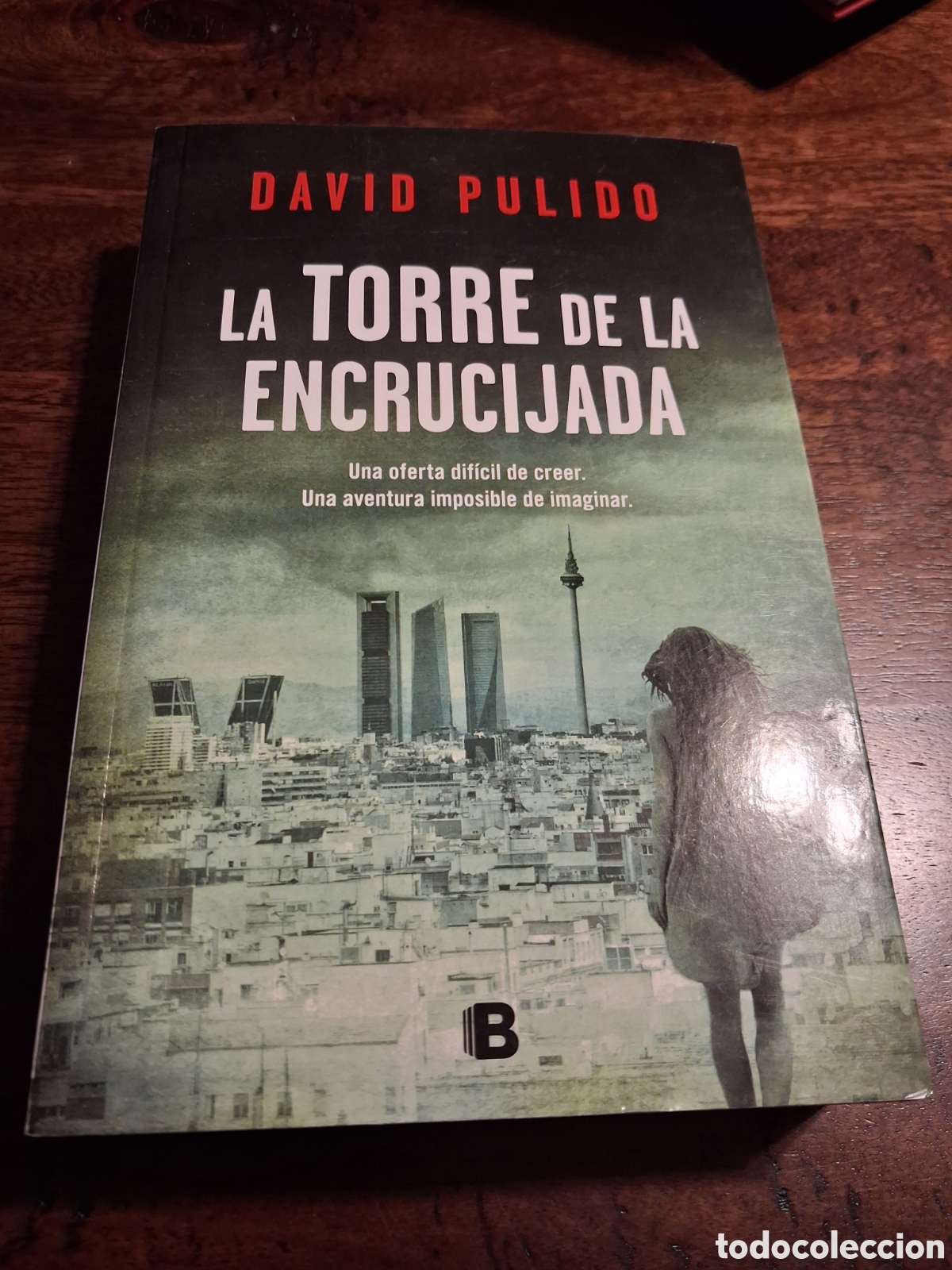 Libros de segunda mano: La torre de la encrucijada, David Pulido