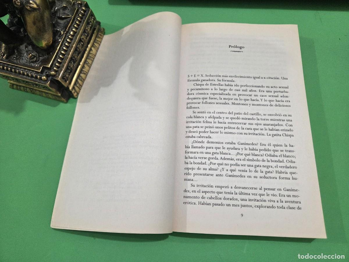 Libros de segunda mano: NINA BANGS...&rdquo;&rdquo;&Egrave;XTASIS&rdquo;&rdquo;...EDICIONES TALISM&Aacute;N...2006.. - Foto 5