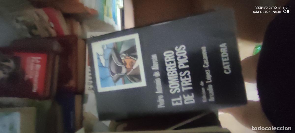 Libros de segunda mano: El sombrero de tres pi iicos c&aacute;tedra