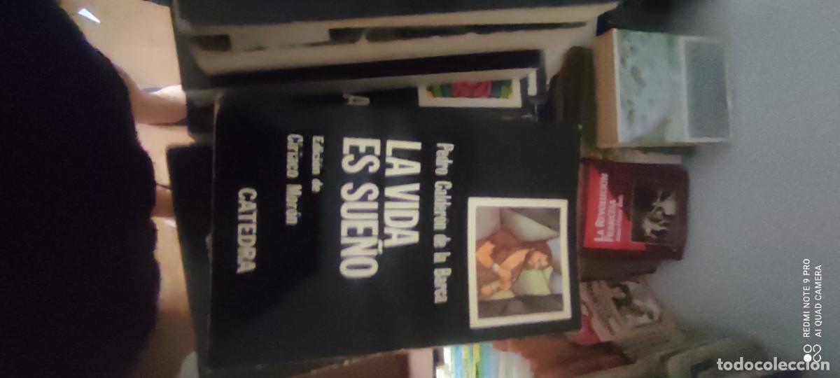 Libros de segunda mano: Calder&oacute;n. La vida es sue&ntilde;o c&aacute;tedra