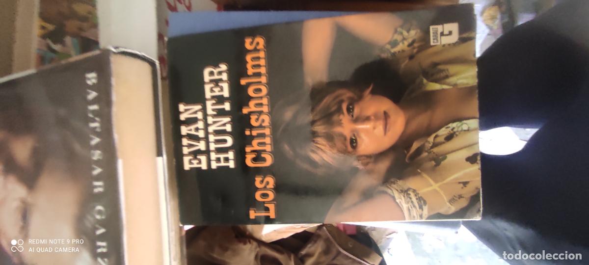 Libros de segunda mano: Hunter. Los chisholmd