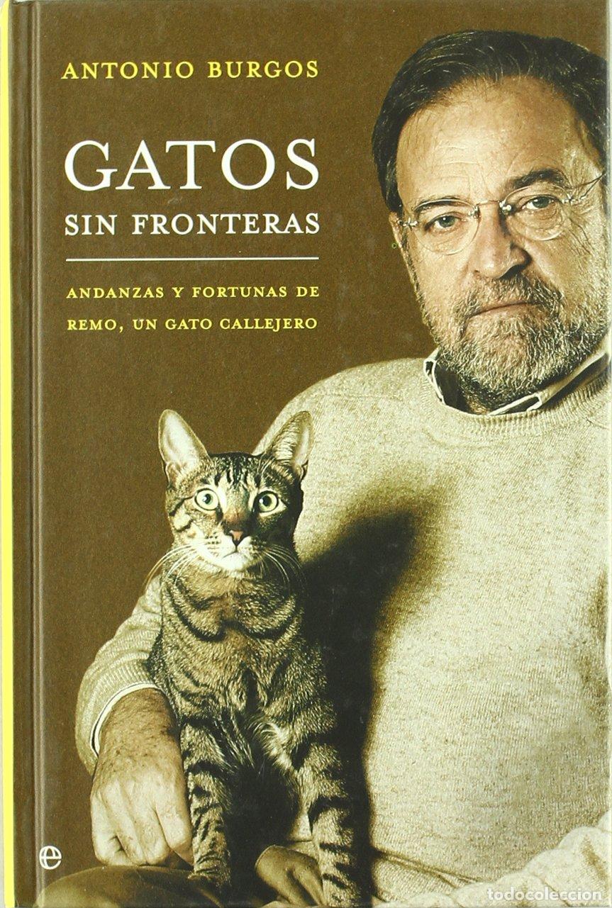 Livres d'occasion: Gatos Sin Fronteras: Andanzas y Fortunas de Remo, Un Gato Callejero